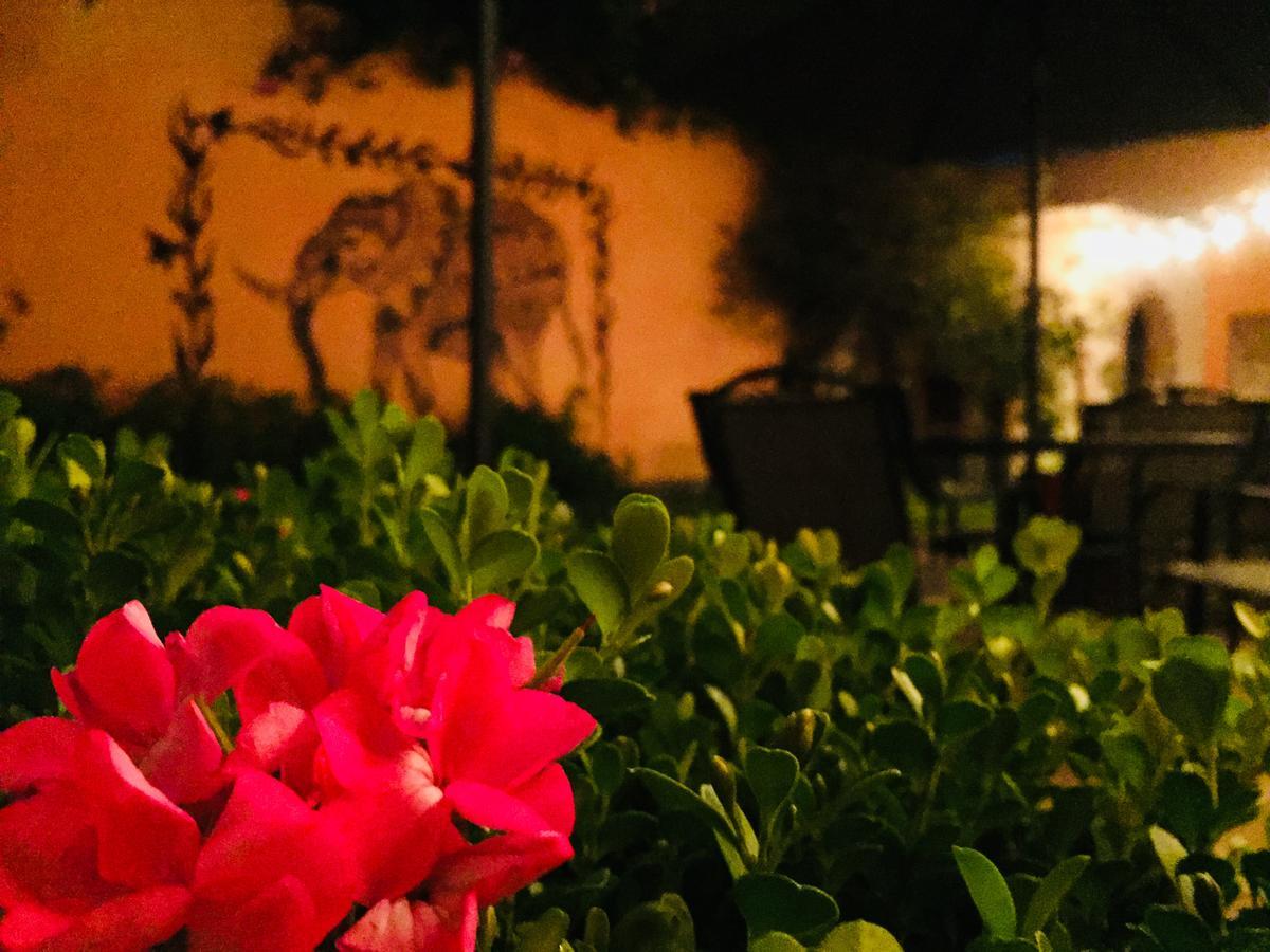 Casa Los Naranjos San Miguel de Allende Extérieur photo