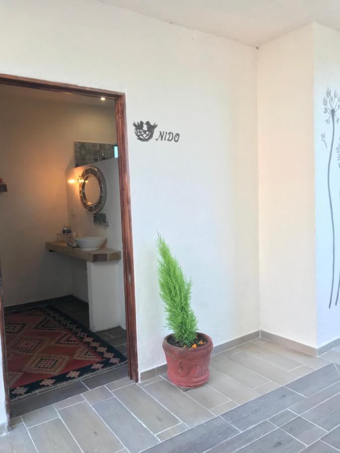 Casa Los Naranjos San Miguel de Allende Extérieur photo